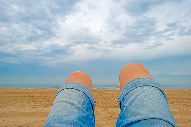istock Beach along the dutch coast  in summer 480807178