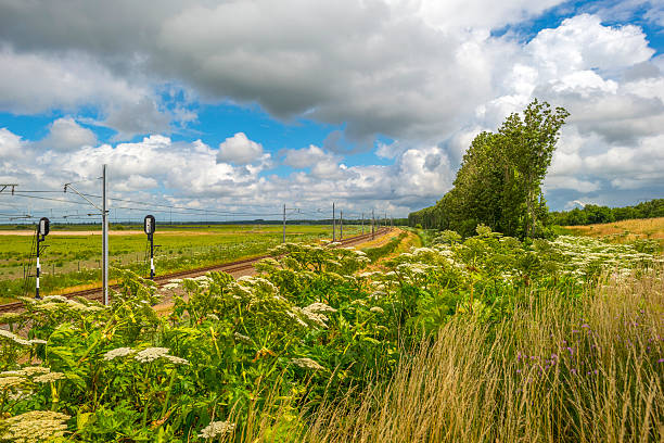 istock Railroad through a sunny landscape in summer 480808868