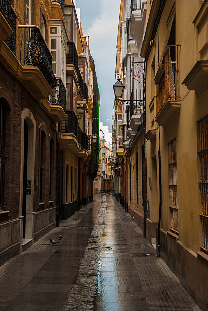 istock Narrow Street in Cadiz 480812154