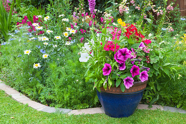 Mixed colorful flowers in a  plant border