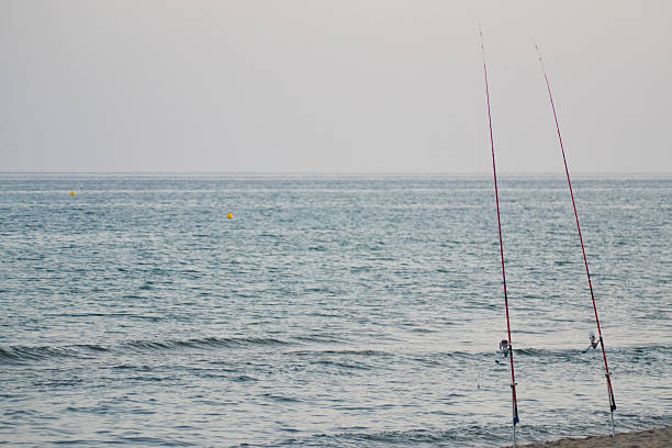 istock Two Fishing Rope 480813944