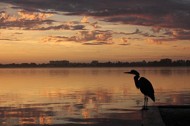 istock Sunset on the bay Orange Beach Ala 480816359