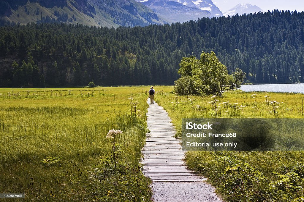 Camminare nella natura intorno al Lago Sils (Svizzera) - Foto stock royalty-free di Coppia eterosessuale