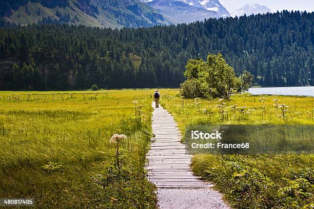 Foto de Caminhada Na Natureza Ao Redor Do Lago Silser e mais fotos de stock de Casal Heterossexual