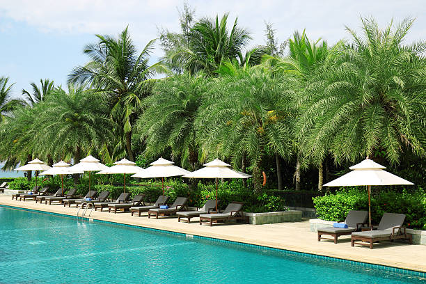 istock Palm trees and sunbeds at tropical beach 480818158