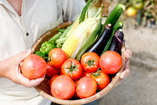 istock Harvest of vegetables 480818230