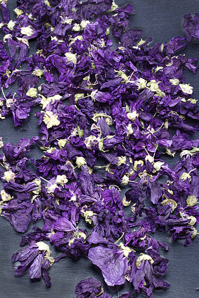 Dried mallow flower for infusion. Black background stock photo
