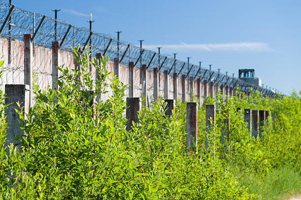 istock Blurred background of prison wall and sharp wire barbs coiled 480822940