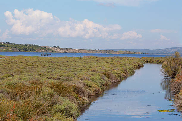 istock lakes in the countryside 480823286