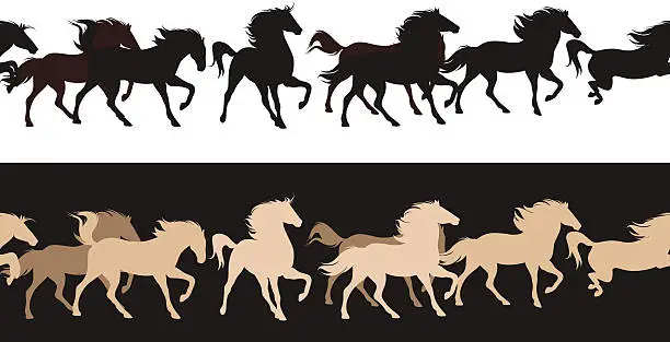 Vector illustration of horse herd
