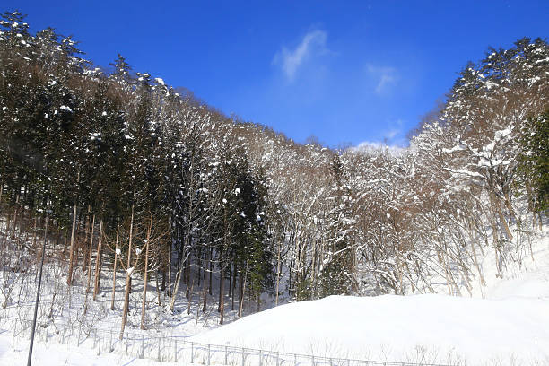 istock Winter Landscape with Snow and Trees 480835269