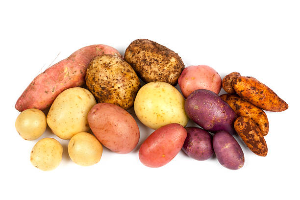 batatas isoladas no branco - peruvian potato - fotografias e filmes do acervo