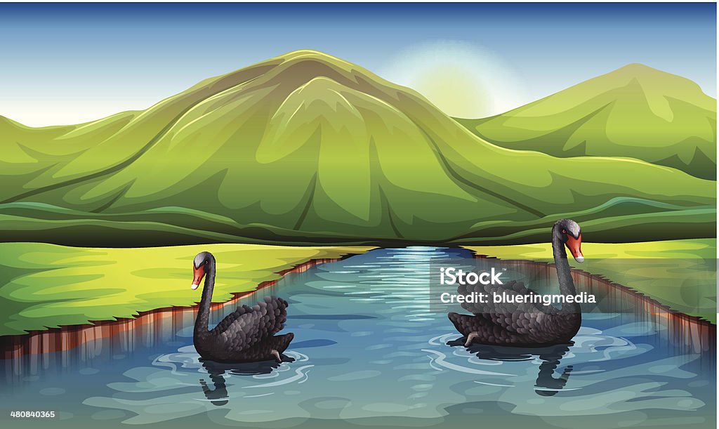 Swans no Rio - Royalty-free Animal arte vetorial