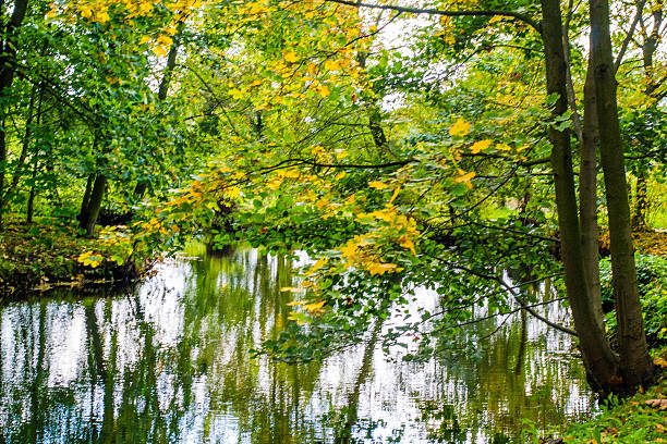 istock Arkadia park in Poland 480840487