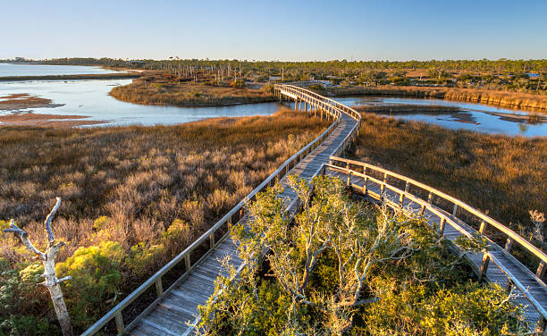 вечернее солнце на большой лагуна boardwalk - pensacola стоковые фото и изображения