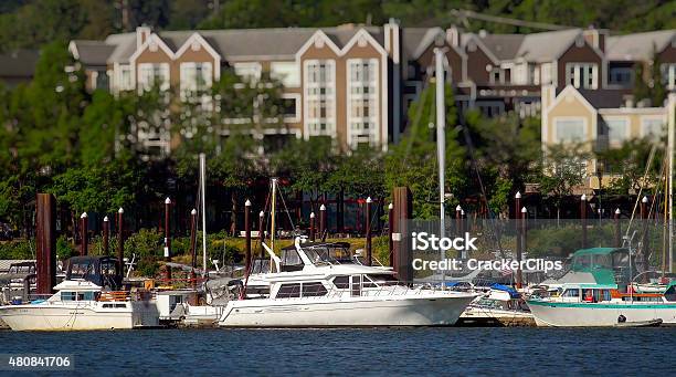 Boats In Marina On The Willamette River In Portland Oregon Stock Photo - Download Image Now