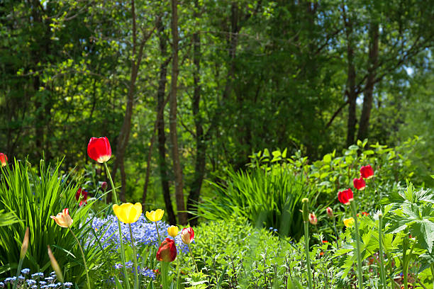 bed in a garden with beautiful flowers,soft focus