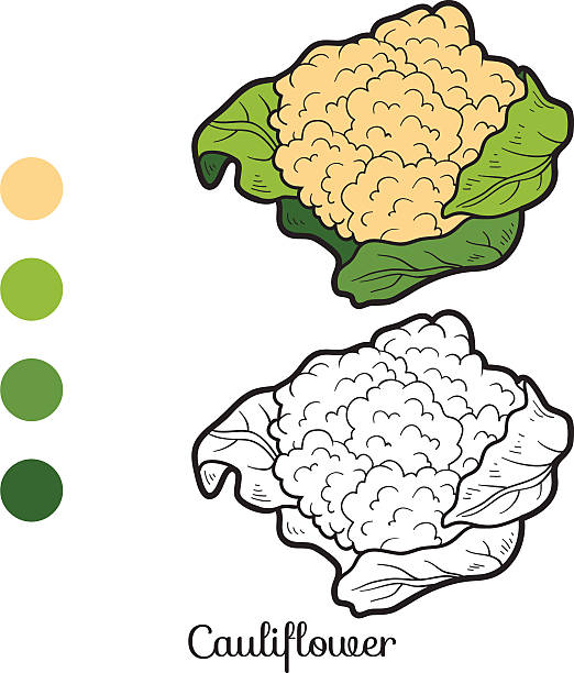 illustrazioni stock, clip art, cartoni animati e icone di tendenza di libro da colorare: frutta e verdura (completa - cauliflower vegetable black illustration and painting