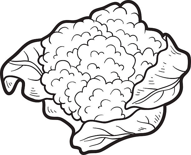 illustrazioni stock, clip art, cartoni animati e icone di tendenza di libro da colorare: frutta e verdura (completa - cauliflower vegetable black illustration and painting