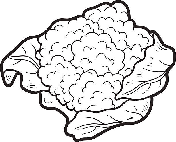 книга-раскраска: фрукты и овощи (цветная капуста - cauliflower vegetable black illustration and painting stock illustrations