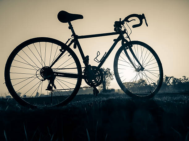 istock bicycle on rural straw landscape image with Silhouette  morning 480845430
