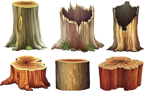 Vector illustration of Different tree stumps