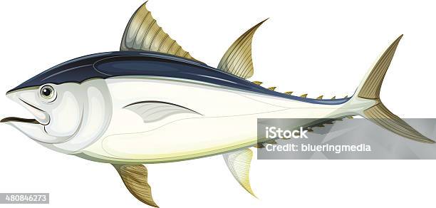 Atlantic Bluefin Tuna Stock Illustration - Download Image Now - Tuna - Animal, Animal, Blue