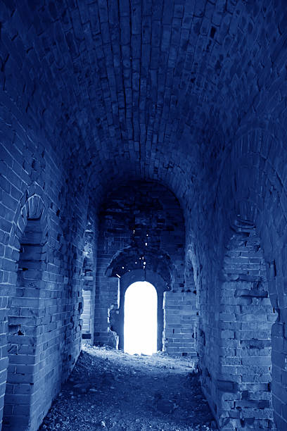 istock original ecology of the great wall 480846435