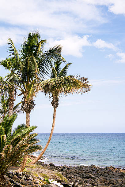 Costa volcánicas - foto de stock