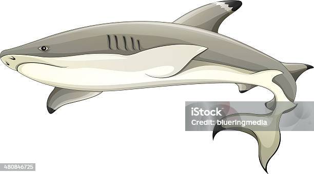 Requin Noires Vecteurs libres de droits et plus d'images vectorielles de Au fond de l'océan - Au fond de l'océan, Biologie, Climat subtropical