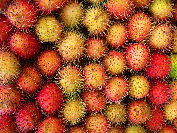 Fresh and colorful Tropical Fruits Rambutan