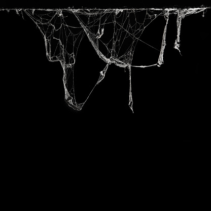 Horror Abstract Spider web trap and die concept