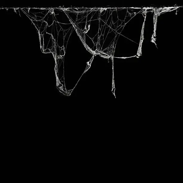 Photo of cobweb spider web in ancient thai house isolated on black