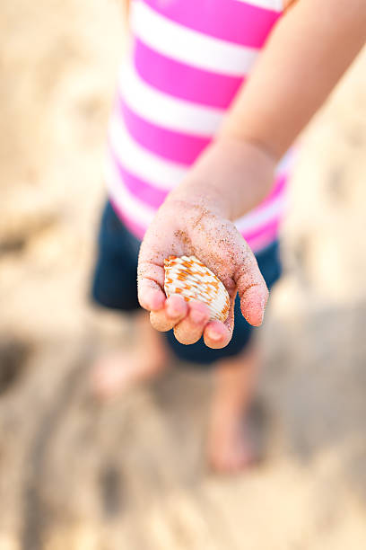 Dziecka maluch, dziewczyna, pokazujący shell znaleźć na plaży – zdjęcie