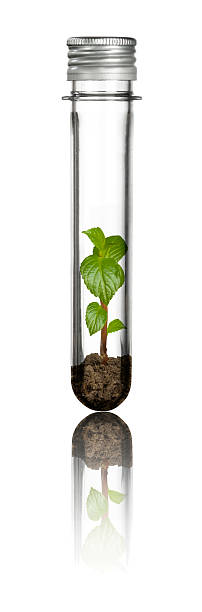 istock new life in a tube 480863525