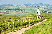 chapel with vineyard