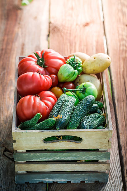 istock Ripe tomatoes and cucumbers in wooden box 480864968