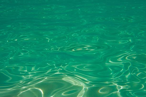 istock Underwater view of water surface in the sea 480865986