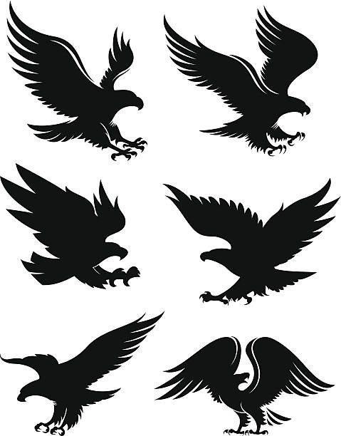ilustraciones, imágenes clip art, dibujos animados e iconos de stock de eagle siluetas - aguila real