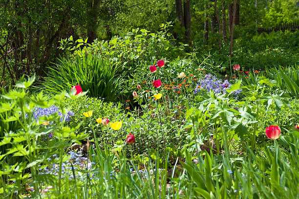 bed in a garden with beautiful flowers,soft focus