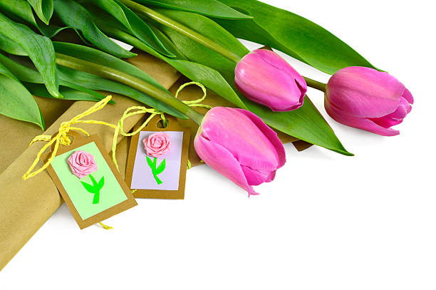 istock Pink tulips with gifts isolated 480873813