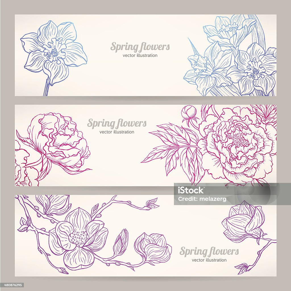 banners with hand-drawn flowers three beautiful horizontal banners with different hand-drawn flowers Backgrounds stock vector