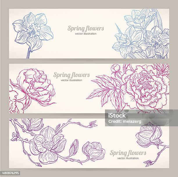 Banners With Handdrawn Flowers Stock Illustration - Download Image Now - Backgrounds, Magnolia, Peony