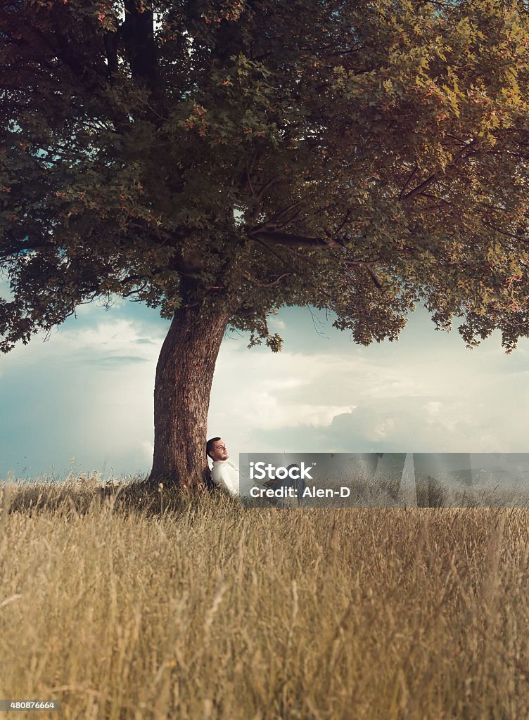 Relax Carefree. Human relaxing under tree. Man repose on grass in nature. Outdoors - outside. Leisure concept. No worries. Art photo Tree Stock Photo