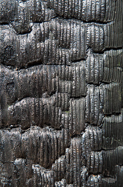 istock background of the burnt Board 480880326