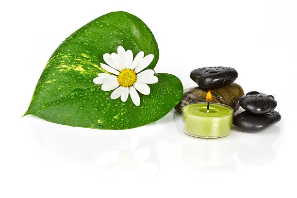 Flower with green leaf isolated, Spa and health care concept.