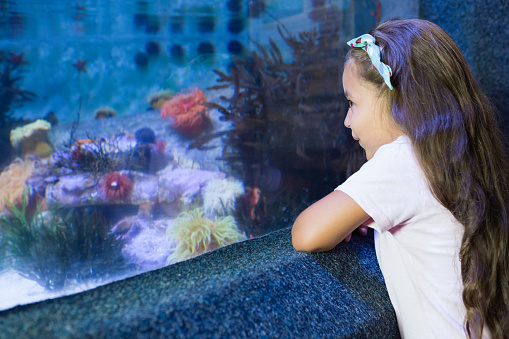 Cute girl looking at fish tank at the aquarium