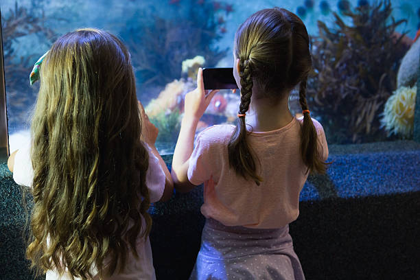 istock Cute girls looking at fish tank 480881736
