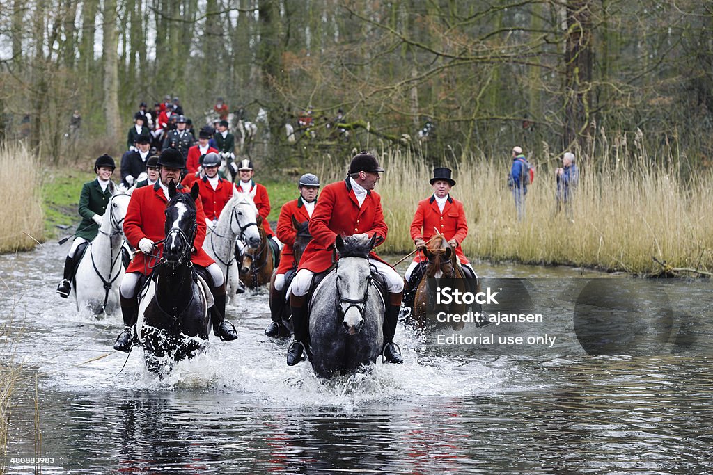 hunters riding their horses through a swamp amsterdam, netherlands - March 15, 2014: hunters riding their horses through a swamp in historic clothing during a fox hunt in the amsterdam forest Adult Stock Photo