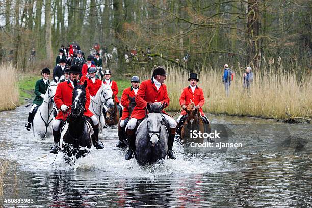 Hunters Riding Their Horses Through A Swamp Stock Photo - Download Image Now - Adult, Agricultural Field, Animal